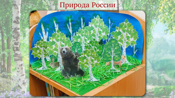Природа России Природа России.