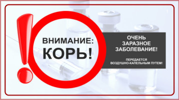 Рекомендации гражданам: Корь Рекомендации гражданам: Корь.