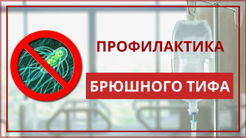 Профилактика брюшного тифа Профилактика брюшного тифа.