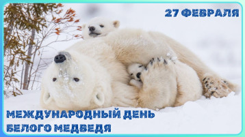 27 февраля - Международный день белого медведя 27 февраля - Международный день белого медведя.