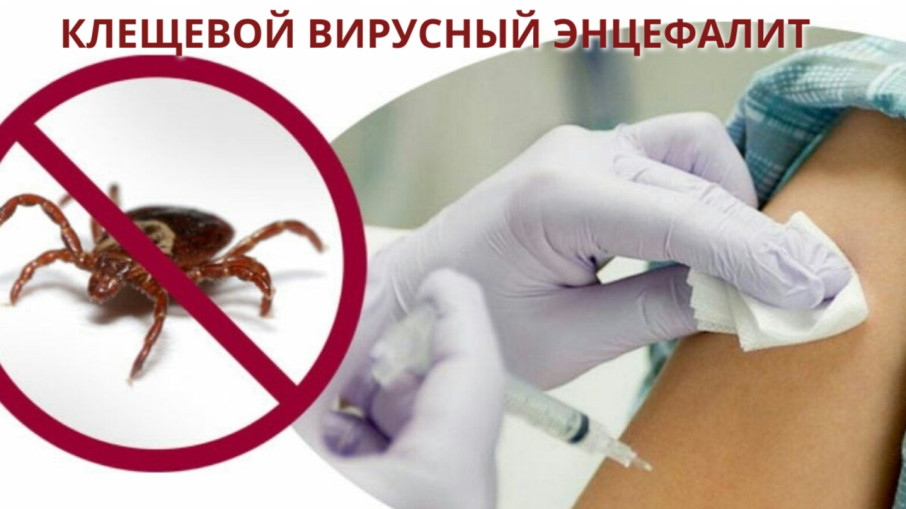 Клещевой вирусный энцефалит Клещевой вирусный энцефалит.